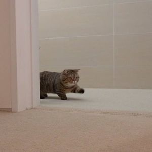 Meet your Posher, Sofia